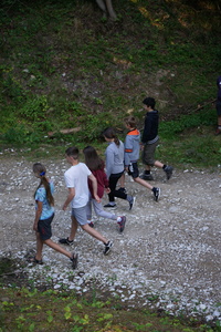 /DSC04530-v.jpg