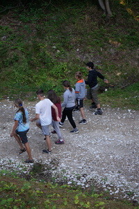 /DSC04534-v.jpg