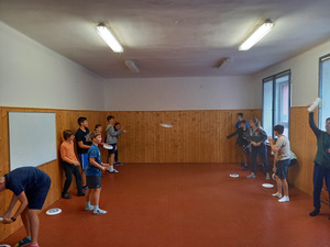 /Frisbee-v.jpg